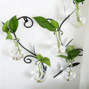 Transparent glass vase