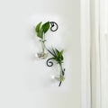 Transparent glass vase