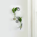 Transparent glass vase