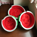 Watermelon bed home quiet pets