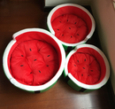 Watermelon bed home quiet pets