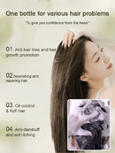2024 Ginger Plant Extract Anti-Hair Loss Hair Shampoo