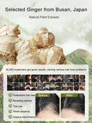 2024 Ginger Plant Extract Anti-Hair Loss Hair Shampoo