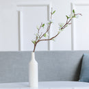 Creative Ceramic Vase Hydroponic Decorative Ornaments