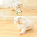 Training Self-moving Kitten Electric Cat Ball Toys Automatic Rolling Smart Cat T