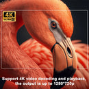 Pocket Projector 4K - Original