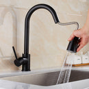 Stainless Steel Vegetable Basin Kitchen Faucet Sink