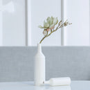 Creative Ceramic Vase Hydroponic Decorative Ornaments